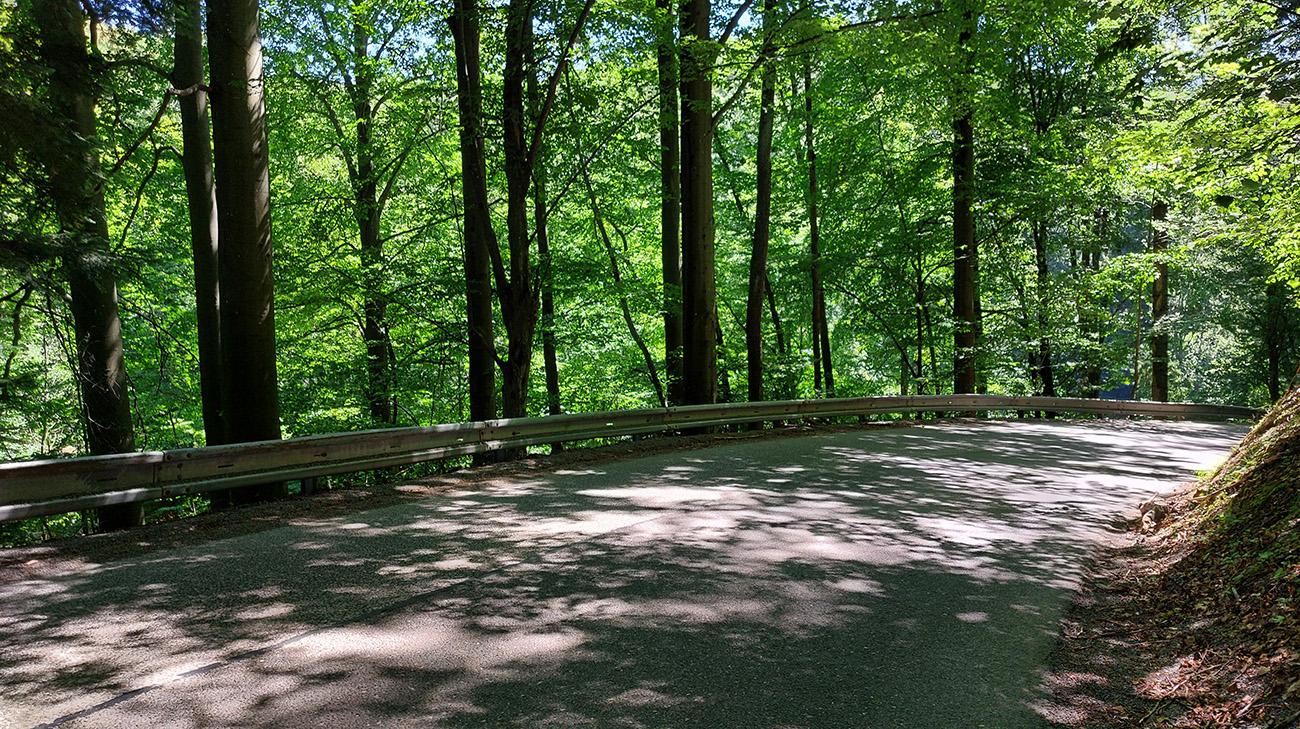 Hra_svetla_a_tieňa_na_ceste_trochu_znepríjemňovala_zjazd_do_Hodruše.