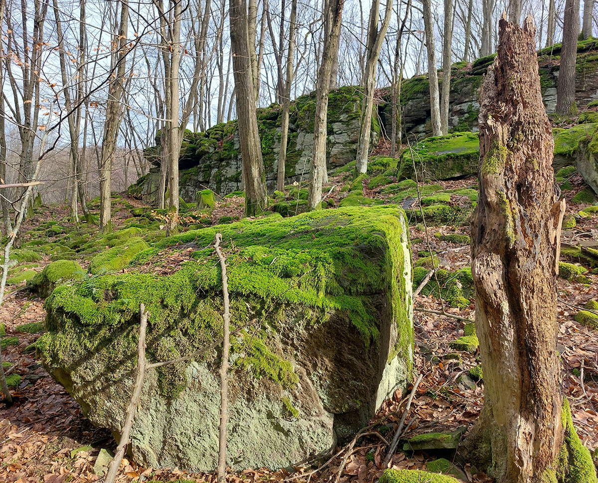 zo-ltiavnice-do-breznice