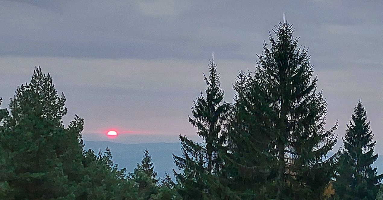 Alebo žeby predsa aspoň niečo? Alebo_žeby_predsa_aspoň_niečo?