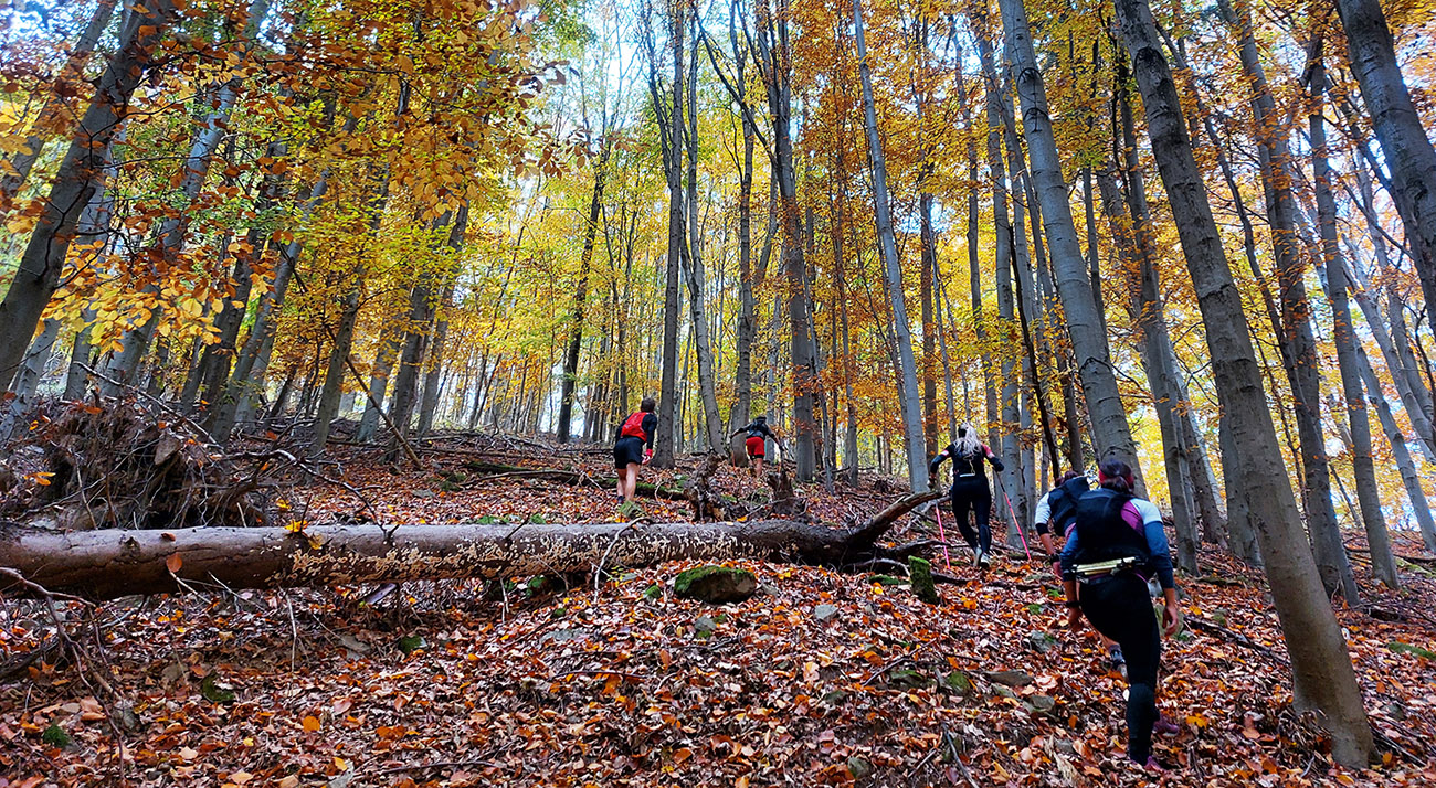 Takto to vyzerá, keď nie je vôľa hľadať prebehnutú odbočku. Takto_to_vyzerá,_keď_nie_je_vôľa_hľadať_prebehnutú_odbočku.