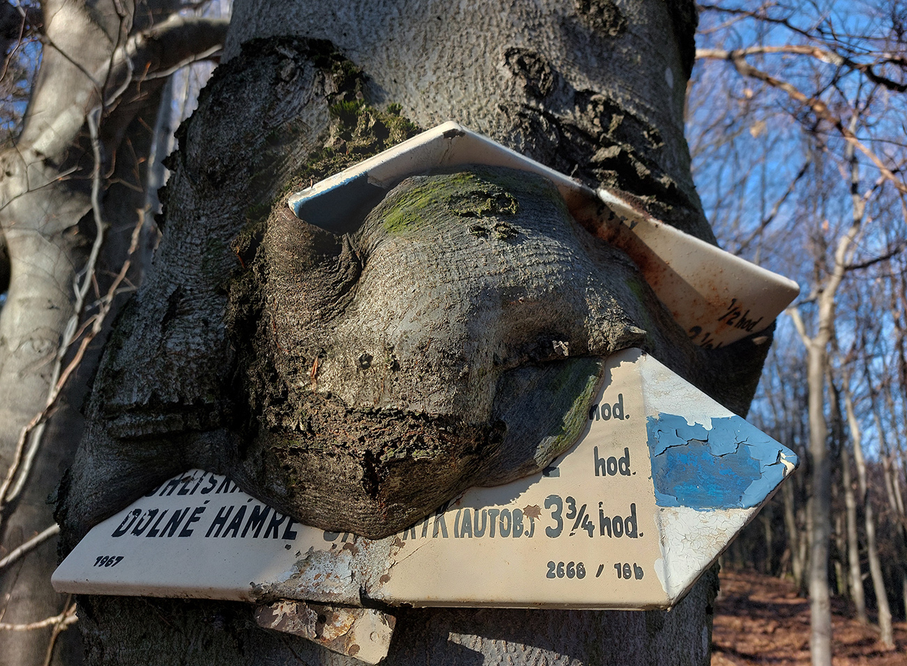 ltiavnicke-vrchy-–-juhozapad